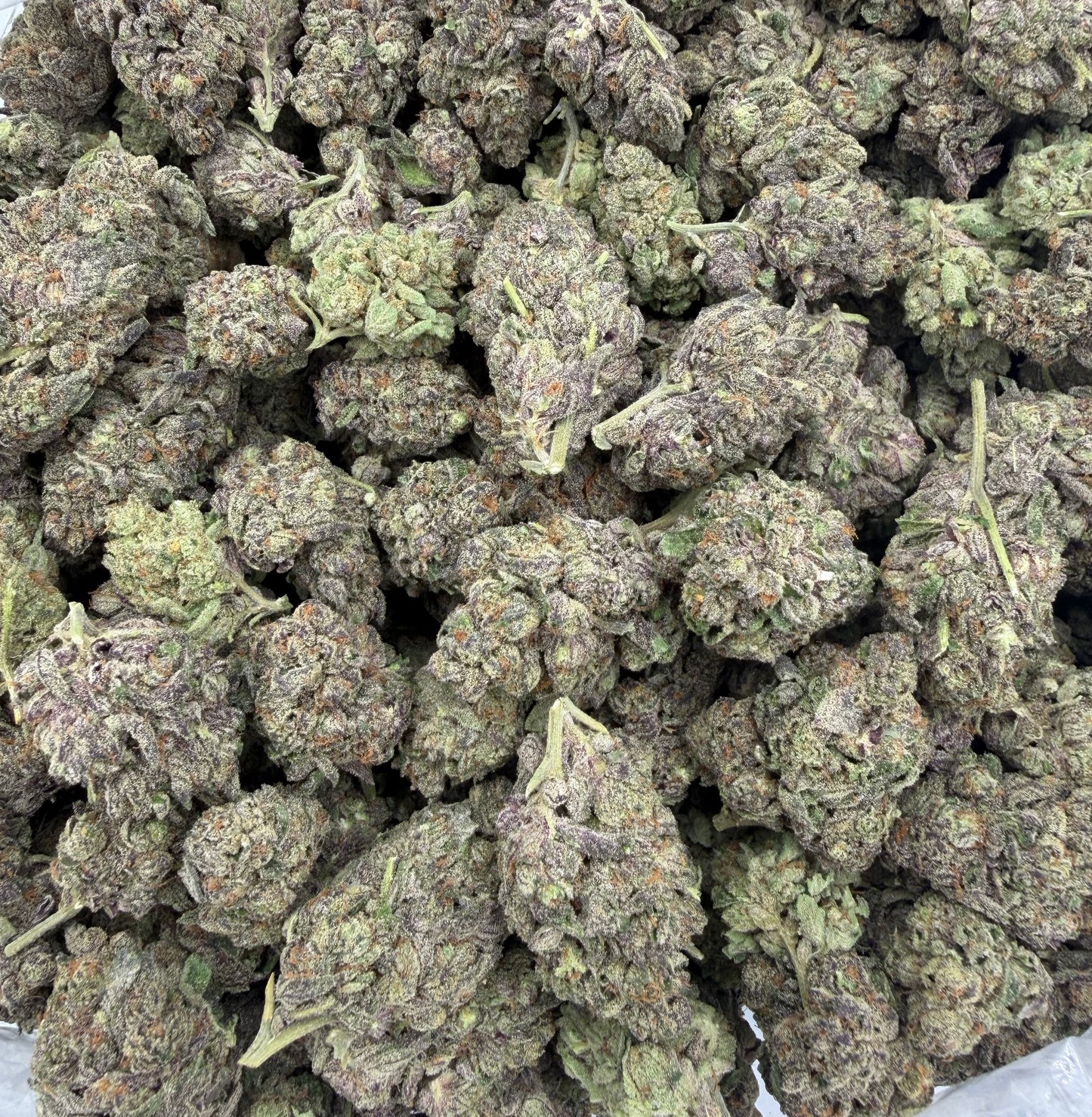 BULK THCA PREMIUM FLOWER INDOOR THE BLING